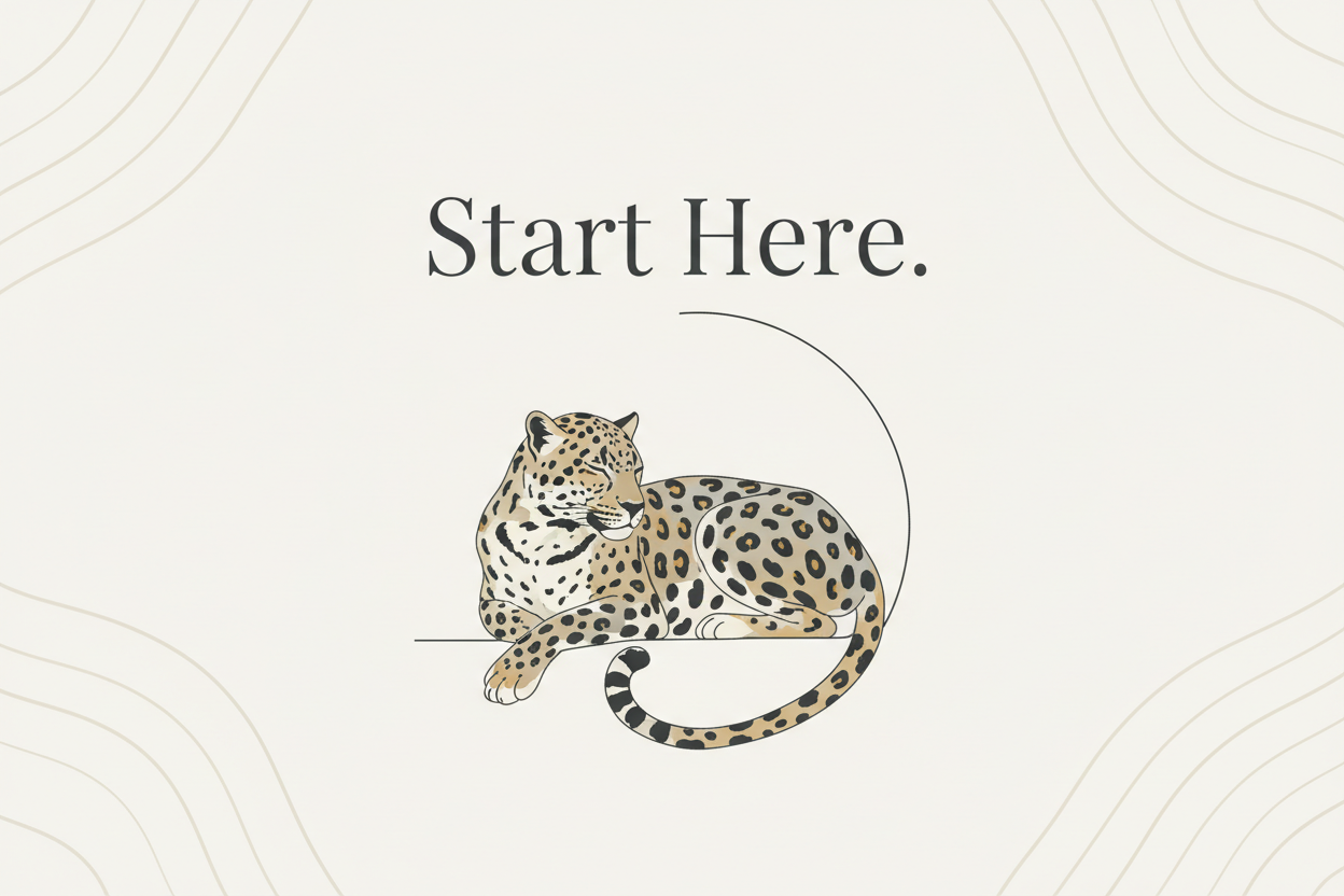 Start Here⭐